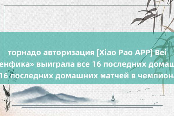 торнадо авторизация [Xiao Pao APP] Beidan Intelligence: «Бенфика» выиграла все 16 последних домашних матчей в чемпионате